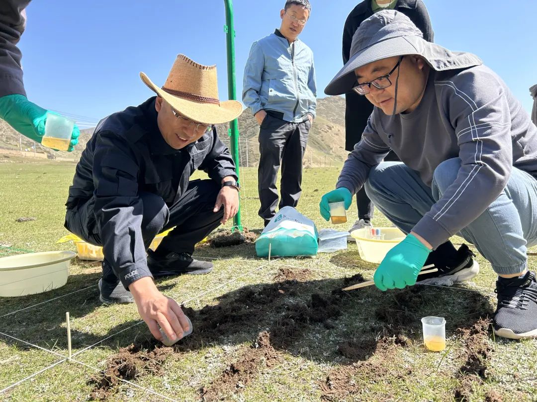 草原农民种植致富_致富种植农民草原的意义_致富经种牧草养殖视频