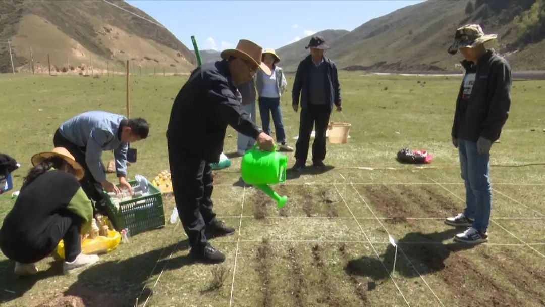 致富种植农民草原的意义_致富经种牧草养殖视频_草原农民种植致富