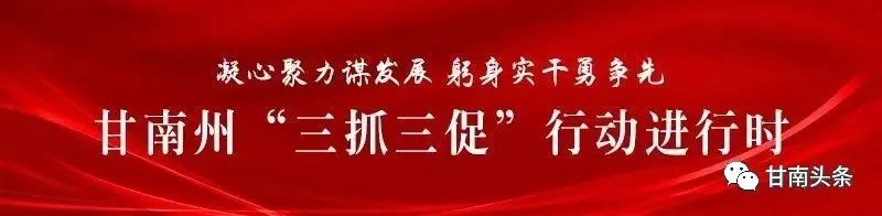 农民致富种植项目_草原农民种植致富_致富种植农民草原的句子