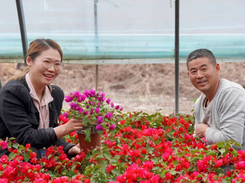 草原农民种植致富_农民致富种植项目_致富经种牧草养殖视频