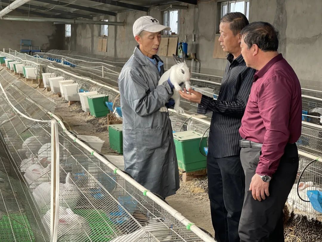 农民致富种植项目_草原农民种植致富_致富经种牧草养殖视频