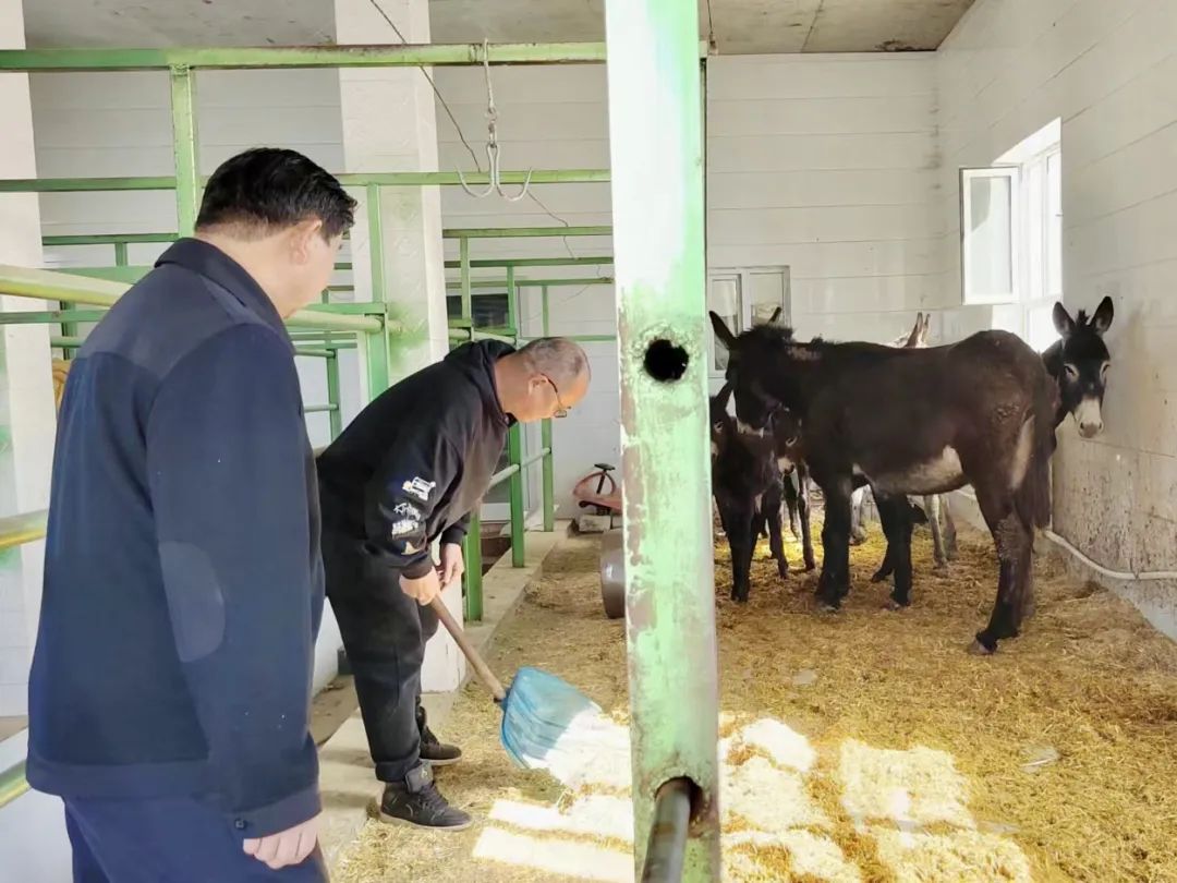 草原农民种植致富_致富经种牧草养殖视频_农民致富种植项目