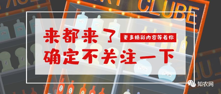 现在最好吃的梨树品种有哪些、种植什么品种梨树比较好