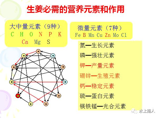 栽培生姜种植播放技术要点_生姜栽培种植技术播放_栽培生姜种植播放技术要求