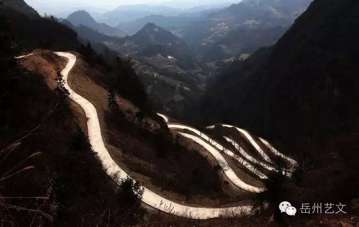致富经蛇毒4十个亿_致富经五步蛇毒_致富经毒蛇