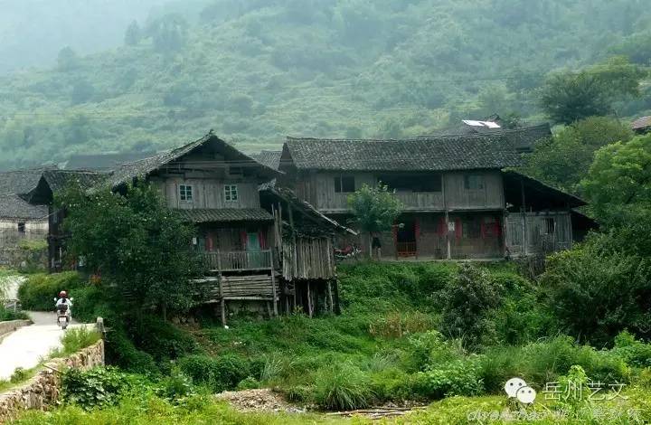 致富经蛇毒4十个亿_致富经五步蛇毒_致富经毒蛇
