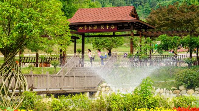 荒山种植什么赚钱_荒山种植致富方法_荒山种植什么来钱快