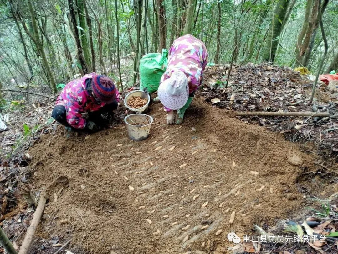 致富与小康_小康路种植致富_致富小康路作文