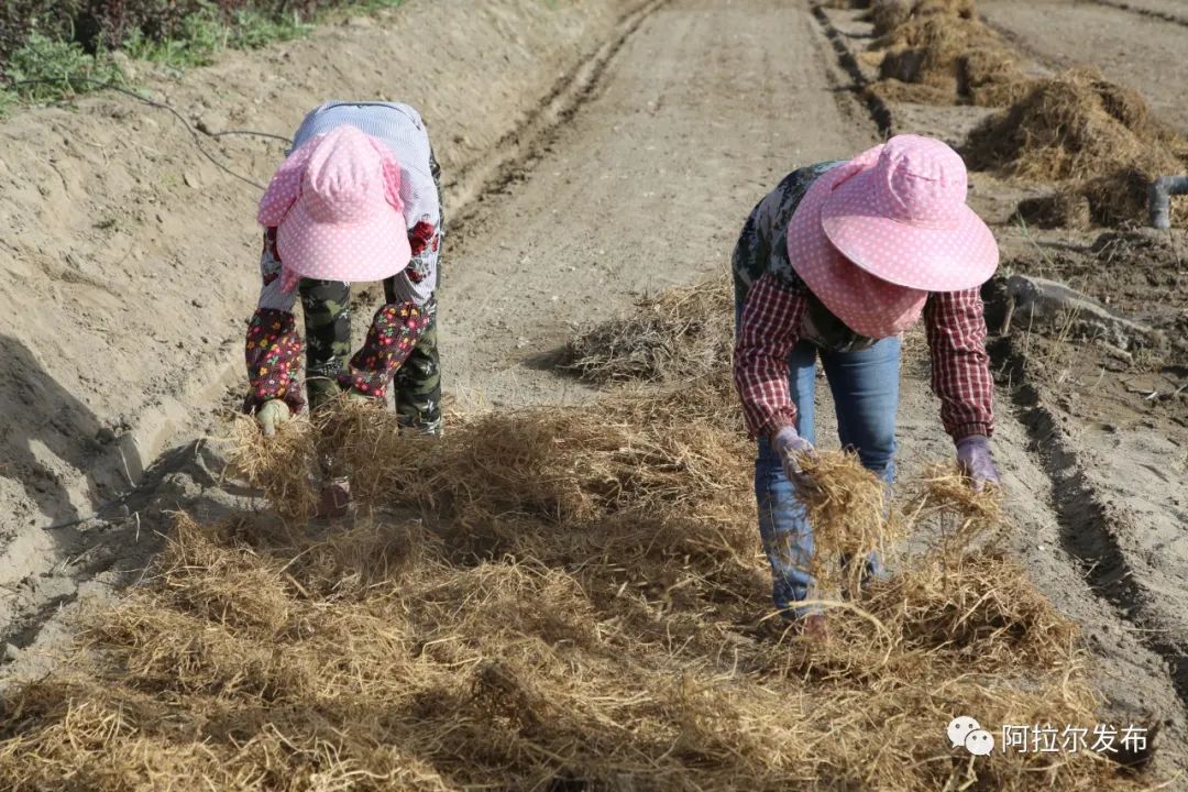 小康路种植致富_致富与小康_致富奔小康