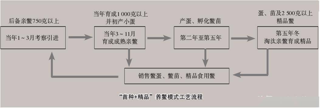 南丰县“苗种+精品”养鳖模式与实例