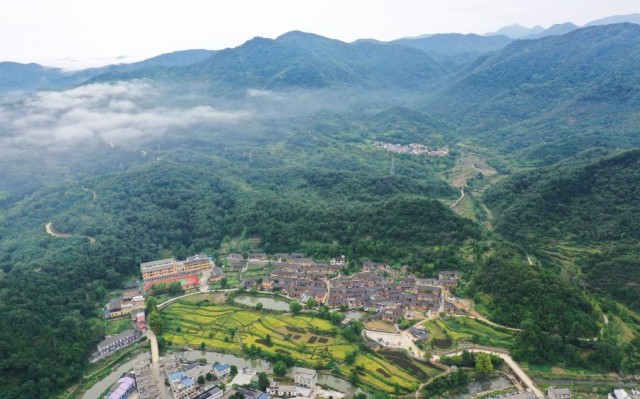 荒山致富项目_荒山种植视频_荒山种植致富方法