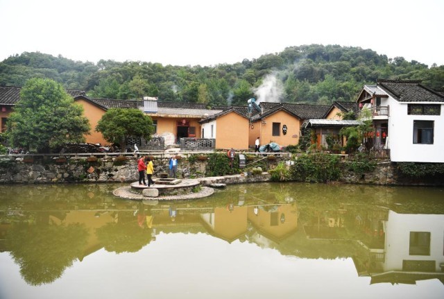 荒山致富项目_荒山种植视频_荒山种植致富方法