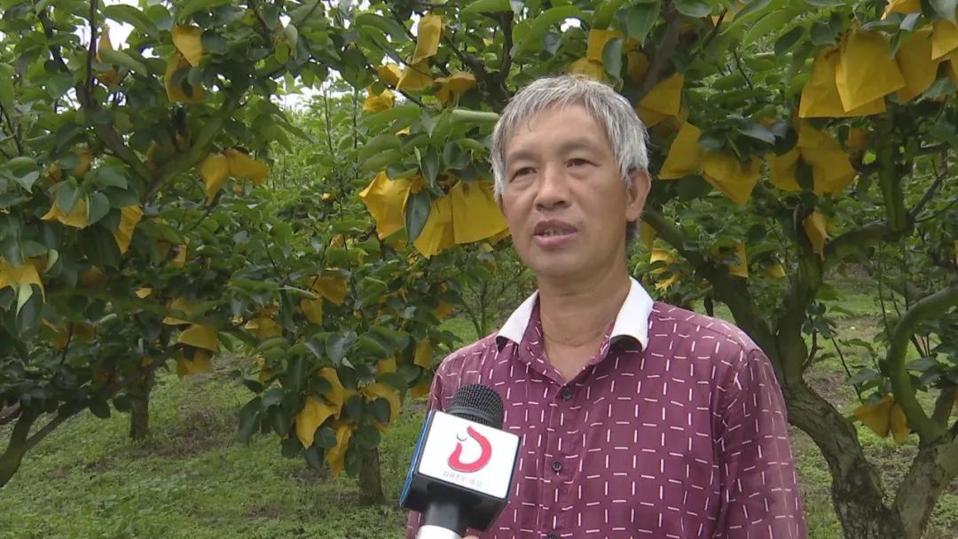 小康路种植致富_致富奔小康_小康致富典型事例