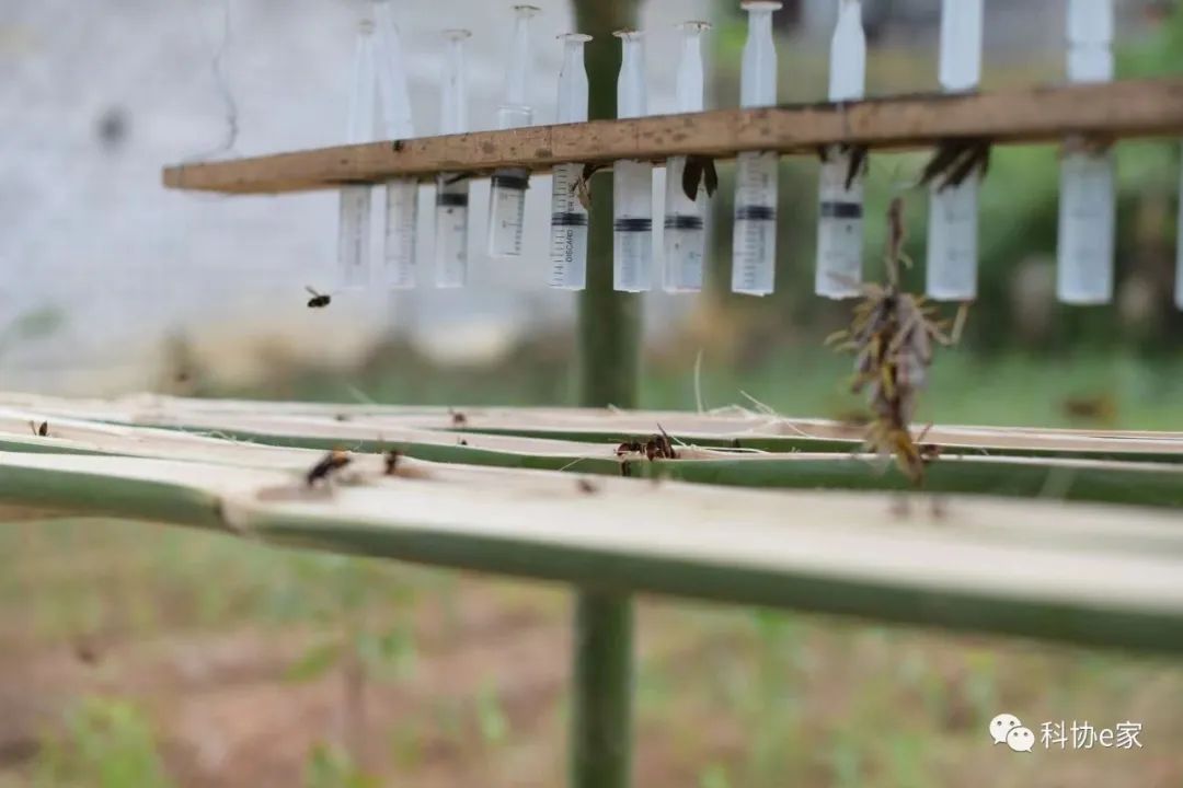 致富养殖信息_致富经养殖马峰致富_致富经养马致富人视频