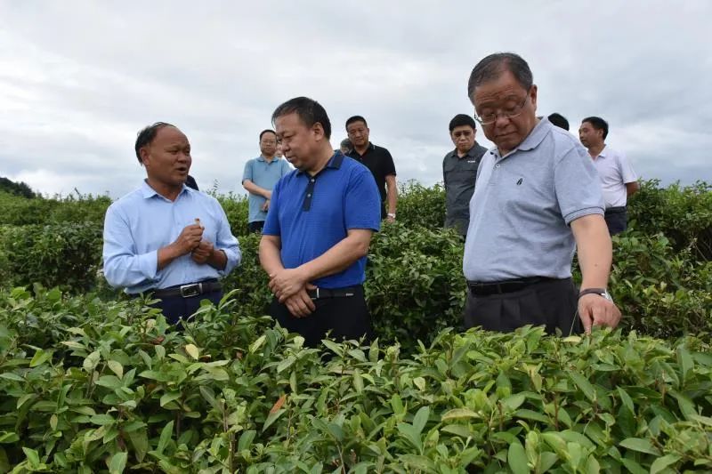 哪能找到致富经全集_夏天干点啥能致富_这几年投资哪个项目能致富