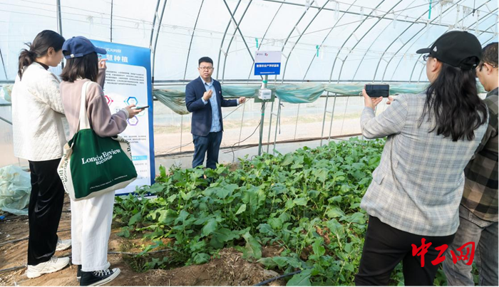 技术赋能幸福生活 数字乡村的“科技范儿”