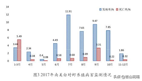 安徽大棚淡水虾养殖技术_大棚养虾可行性报告_大棚淡水虾养殖视频