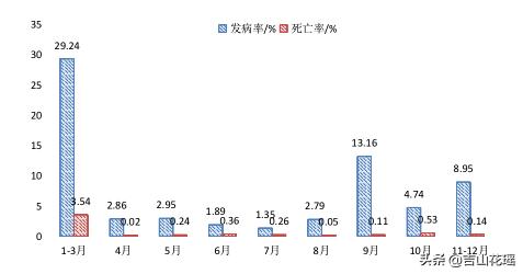 大棚养虾可行性报告_大棚淡水虾养殖视频_安徽大棚淡水虾养殖技术