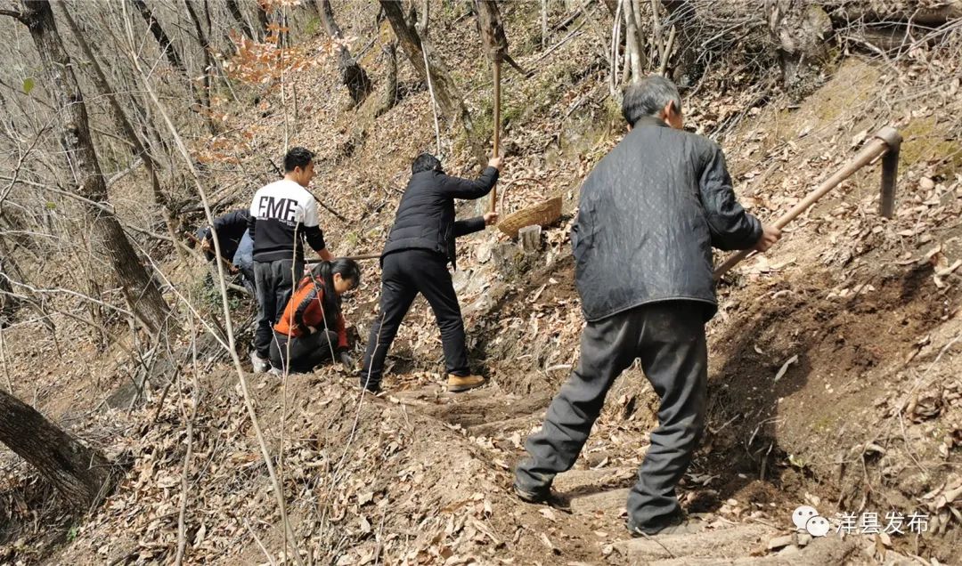 桔梗种植基地_陕西桔梗种植致富_种植桔梗效益如何