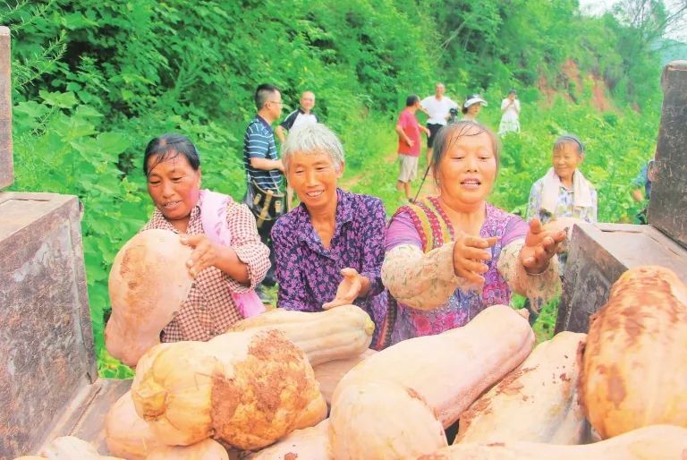 船山区唐家乡万福村：特色产业叩开脱贫致富大门