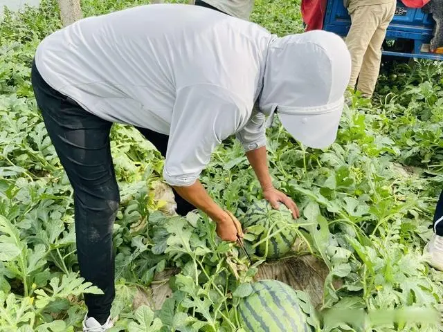 河南滑县养殖致富_河南滑县养猪大户_河南养殖致富网