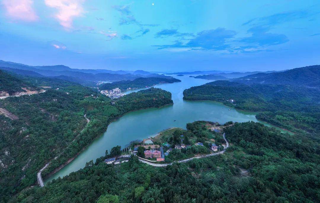 湛江种植基地_在湛江种植什么好_湛江哪里种植致富