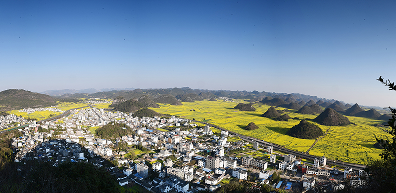 乡村振兴养殖场_乡村振兴养殖致富_特色养殖助力乡村振兴