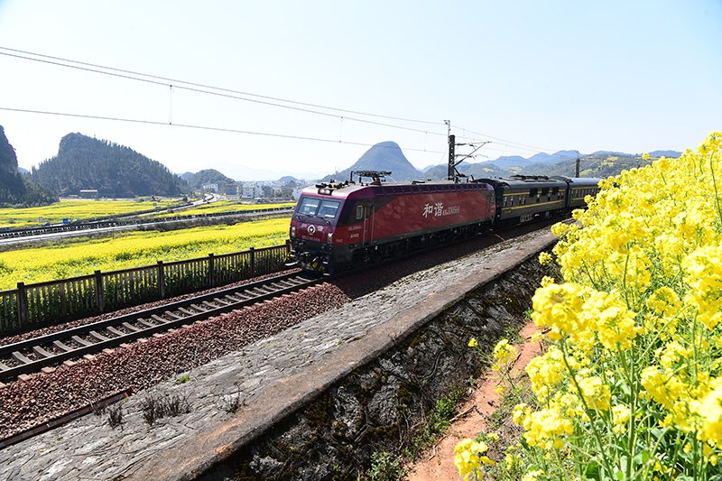 特色养殖助力乡村振兴_乡村振兴养殖场_乡村振兴养殖致富