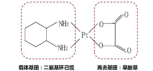 致富经 沙_致富经 沙_致富沙河纬