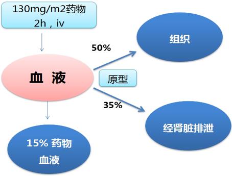 致富经 沙_致富经 沙_致富沙河纬