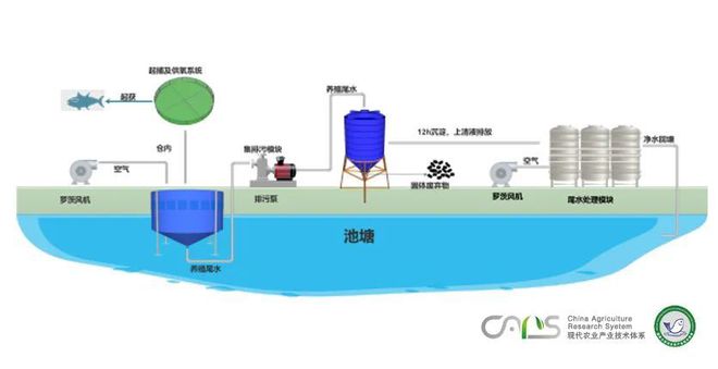 饲养绵羊圈养饲料的新技术_圈养绵羊的养殖技术_养殖绵羊圈养技术要求