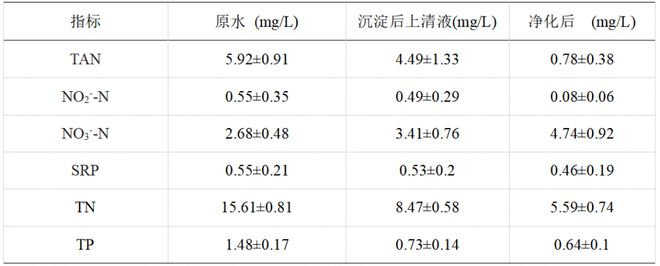 养殖绵羊圈养技术要求_饲养绵羊圈养饲料的新技术_圈养绵羊的养殖技术