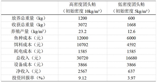 饲养绵羊圈养饲料的新技术_圈养绵羊的养殖技术_养殖绵羊圈养技术要求