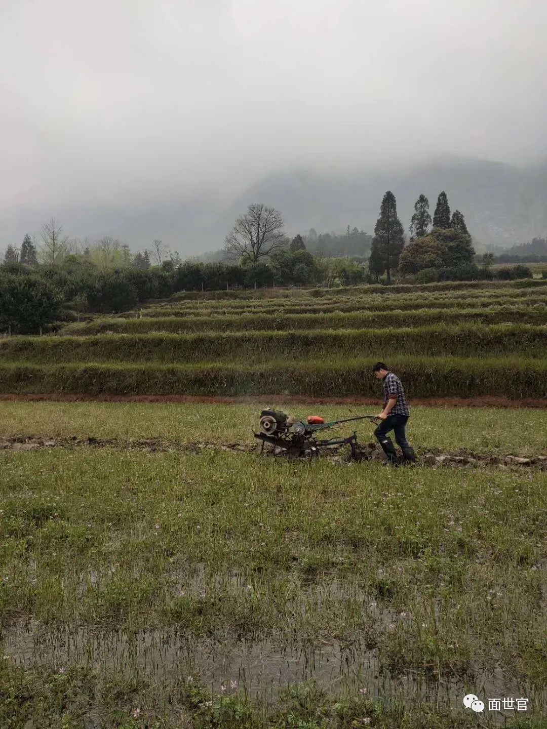 养殖广西水蛇技术规程_广西水蛇养殖技术_养殖广西水蛇技术要求