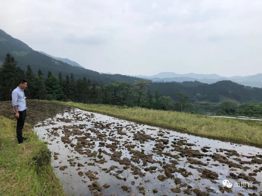 养殖广西水蛇技术要求_养殖广西水蛇技术规程_广西水蛇养殖技术