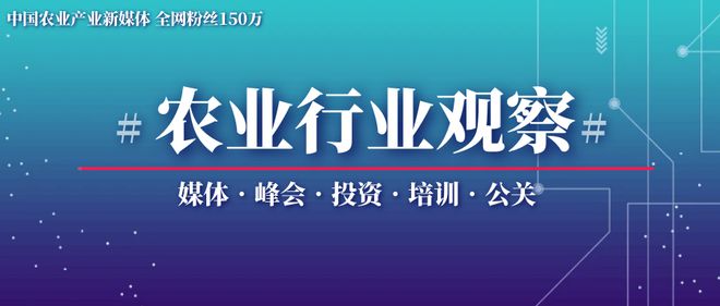 致富经闪养猪_致富养猪场是真的吗_致富经养猪场