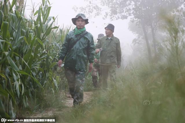 宁阳种植致富项目_宁阳扶贫项目_宁阳种子公司