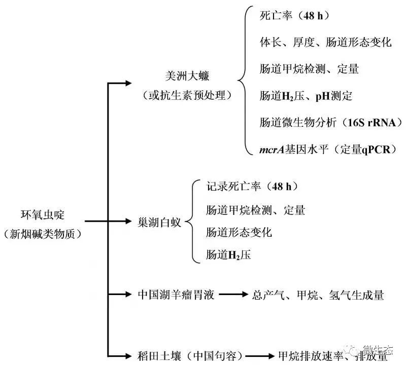 科研 | 南京农大：新烟碱类物质通过调节肠道细菌群落刺激美洲大蠊H2