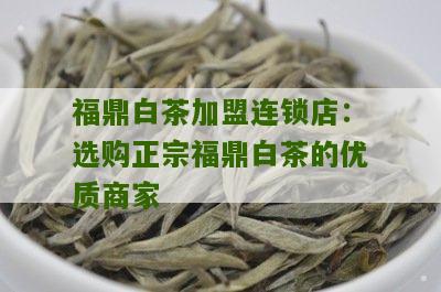 福鼎白茶加盟连锁店：选购正宗福鼎白茶的优质商家