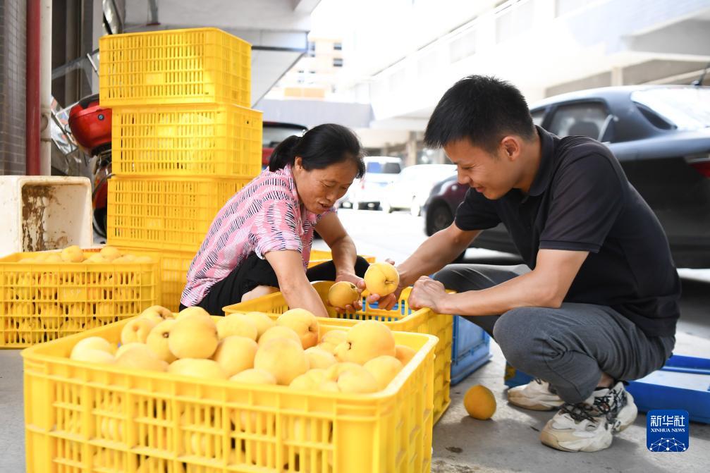 致富经黄桃醋_黄桃醋做法_黄桃蛋挞什么时候放黄桃