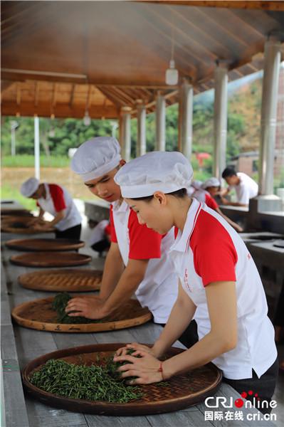 靠茶叶致富_茶叶菜品_致富经茶叶菜