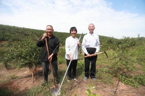 河南农业种植致富项目_适合河南种植致富项目_河南农村致富新项目