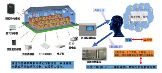 蜜蜂养殖实用技术视频_蜜蜂养殖农村技术现状_农村蜜蜂养殖技术