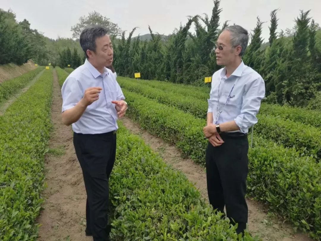 秋季红小豆种植技术_秋季种植小豆红技术要求_秋季种植小豆红技术与管理