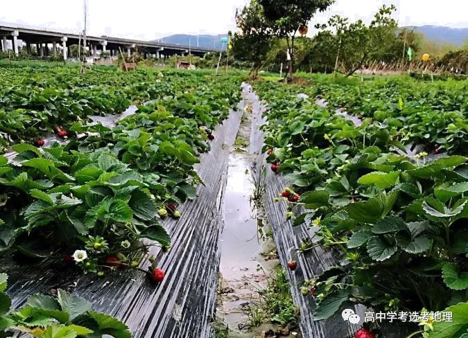 养殖室内虾子技术要点_虾子室内养殖技术_室内养虾技术视频教程