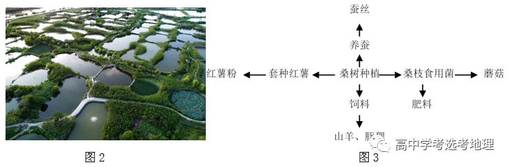 虾子室内养殖技术_养殖室内虾子技术要点_室内养虾技术视频教程