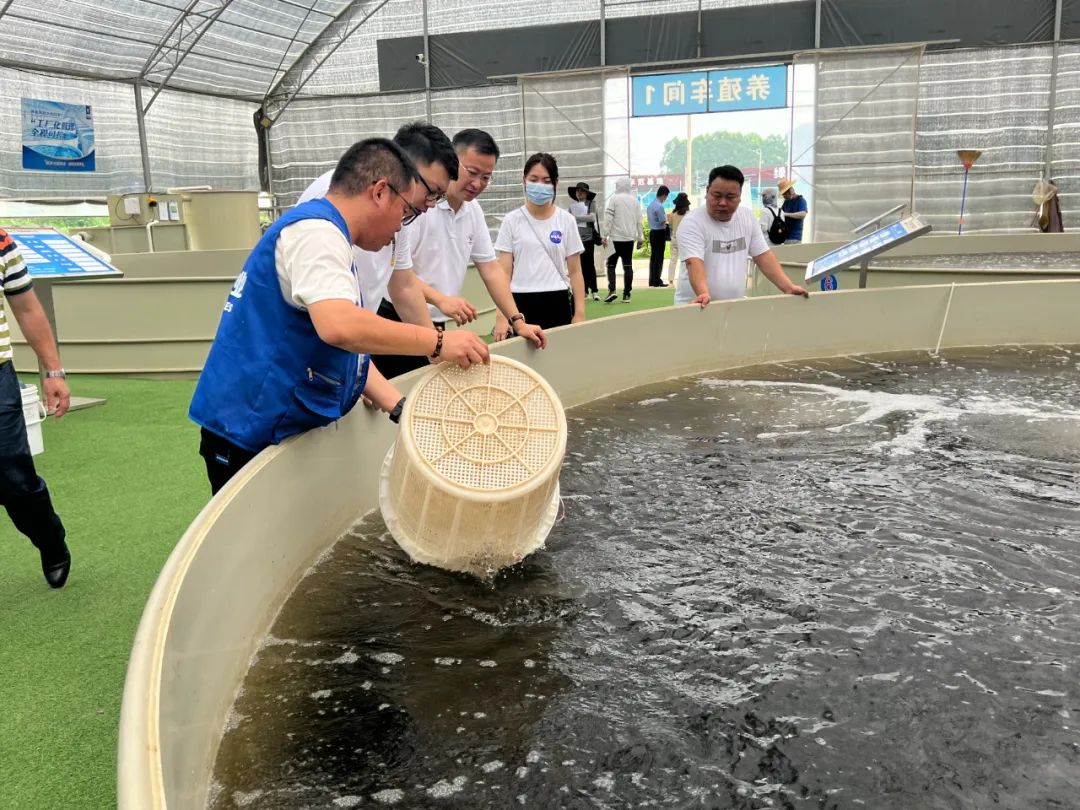 养殖鱼药用药大全_鱼养殖用药技术_用药养殖鱼技术视频