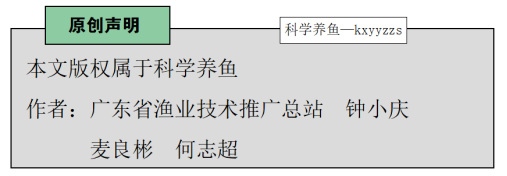 养鱼的药_用药养殖鱼技术视频_鱼养殖用药技术