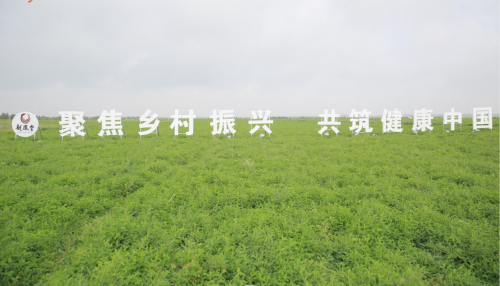 固阳开启有机黄芪溯源之旅，让品质成为看得见的“生产力”