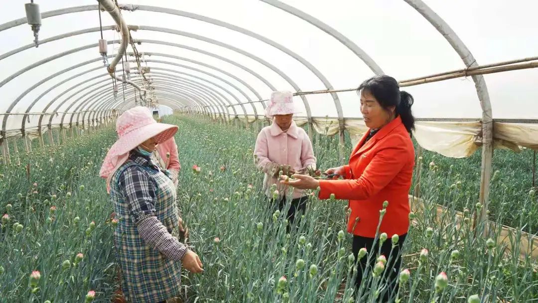 今天的《农民日报》，点赞江川“花仙子”的“致富经””